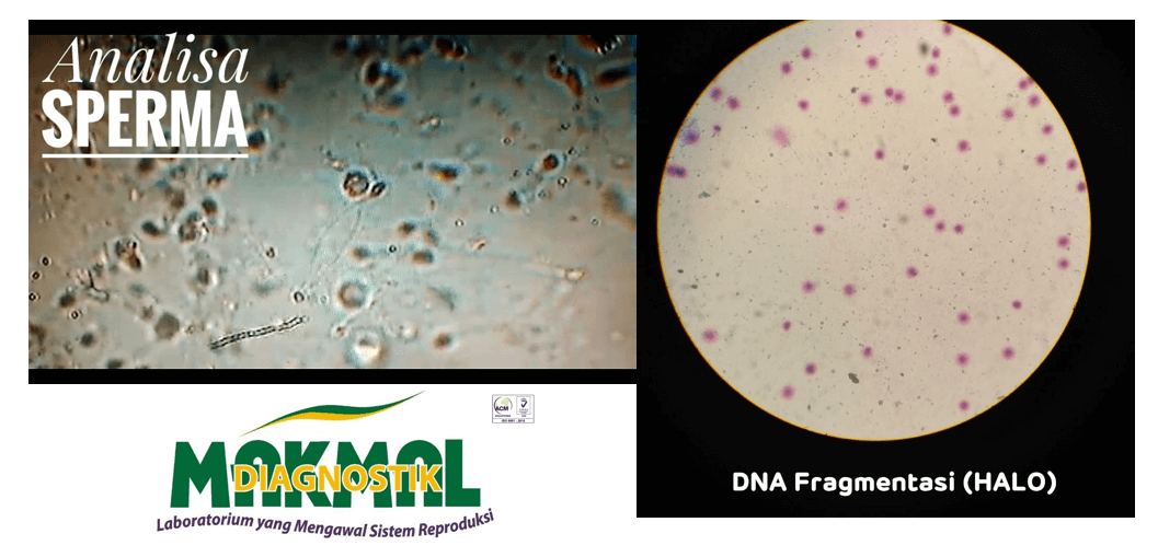 Eri bilan nozik jinsiy aloqa video