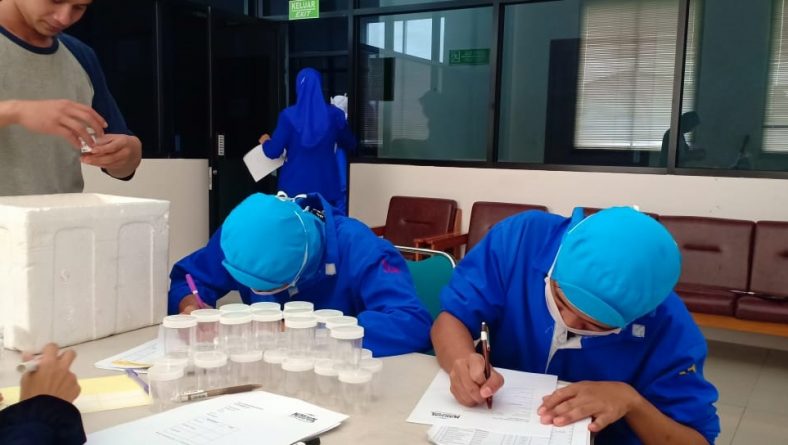 Pemeriksaan Urine Lengkap, Rontgen & Thorax – PT. First Marine