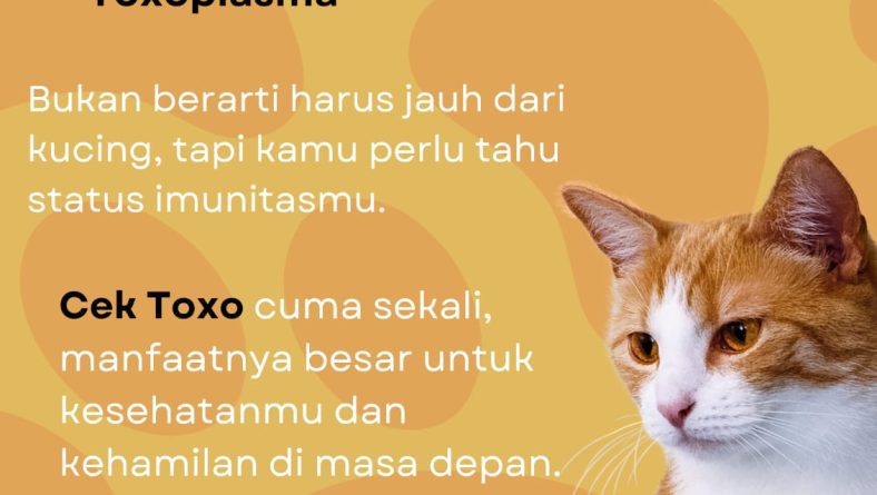 Toxoplasma