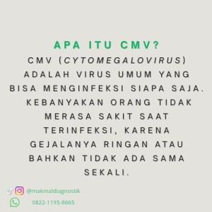 CMV (Cytomegalovirus)