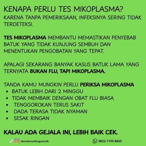 Mikoplasma
